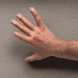 生成式 AI 动画技术概述 生成式 AI 动画技术概述